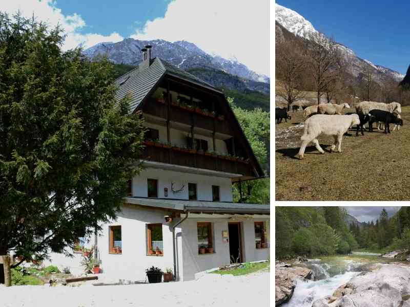 Camping Valle del Soča | Apartamentos y Habitaciones Jelinčič