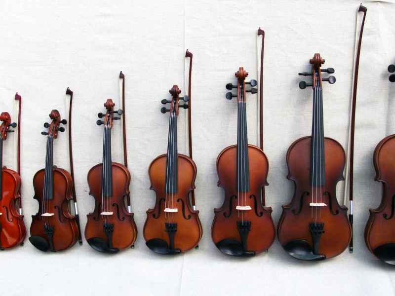 Online prodaja violina